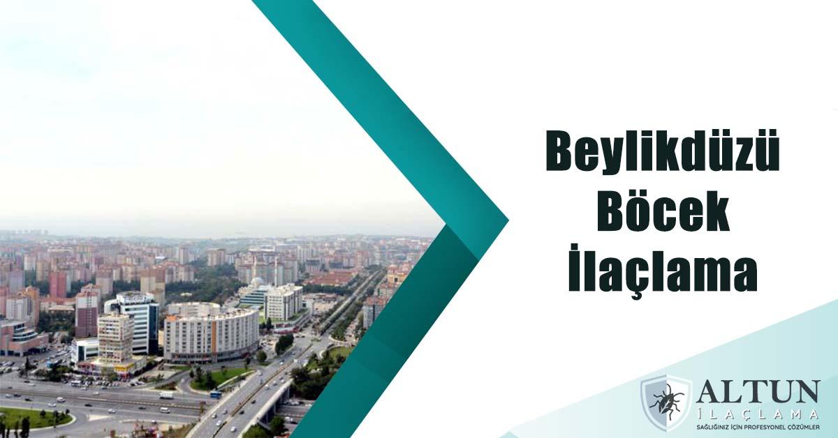 beylikdüzüböcekilaclama