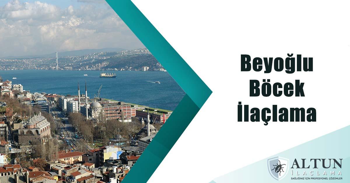 beyoğlböcekilaclama