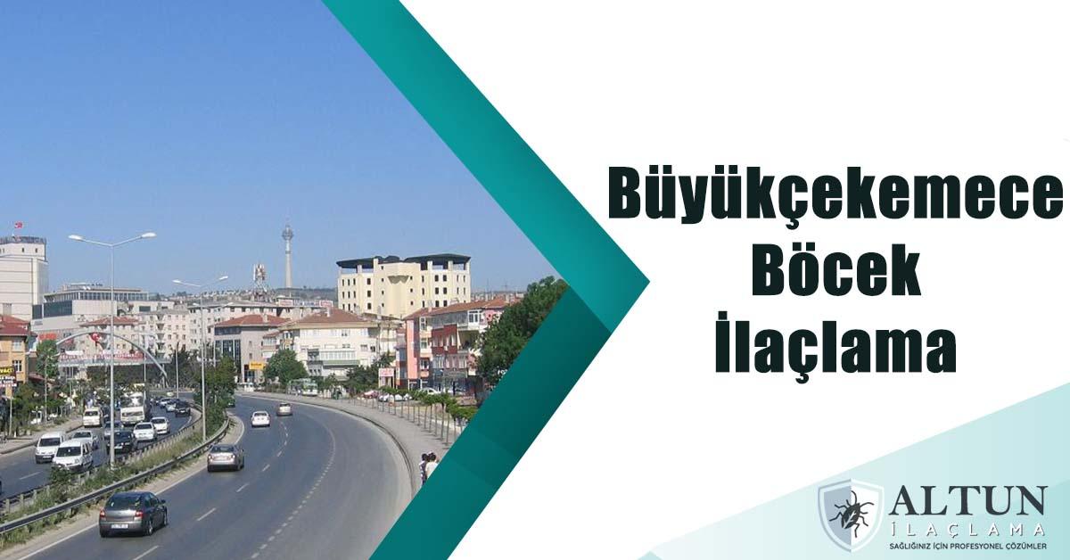 büyükçekemceböcekilaclama