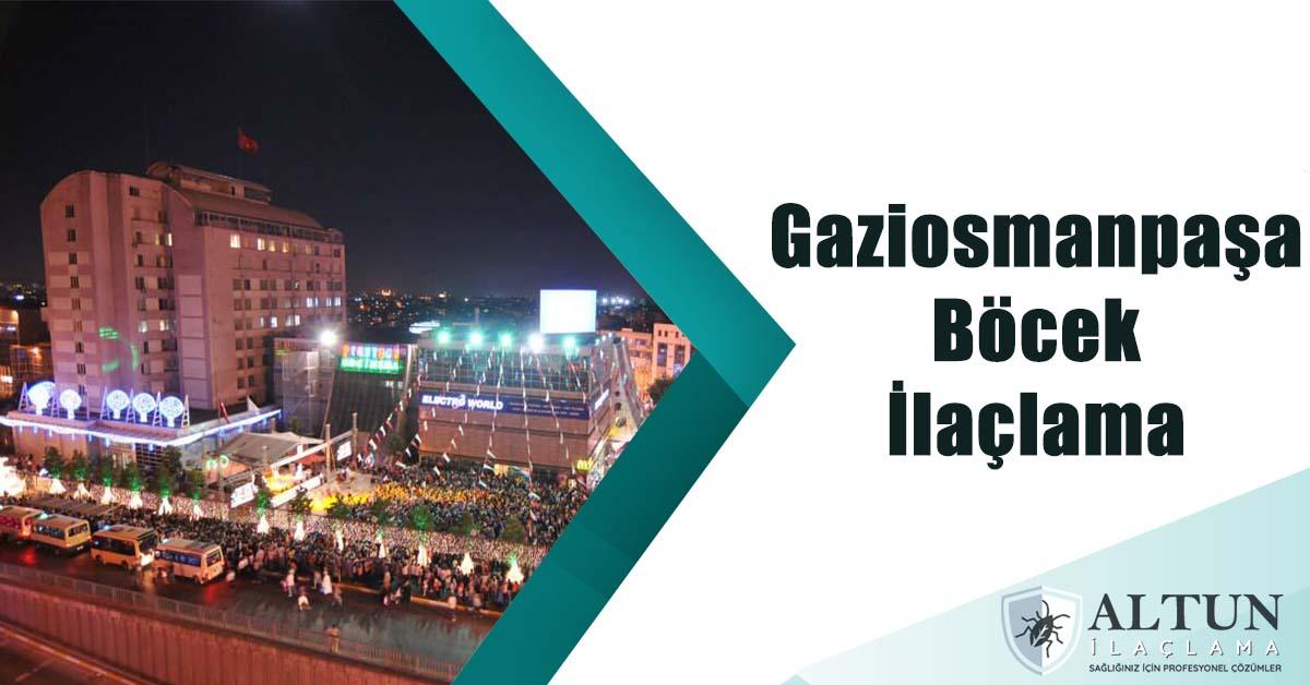 gaziosmanpaşaböcekilaclama