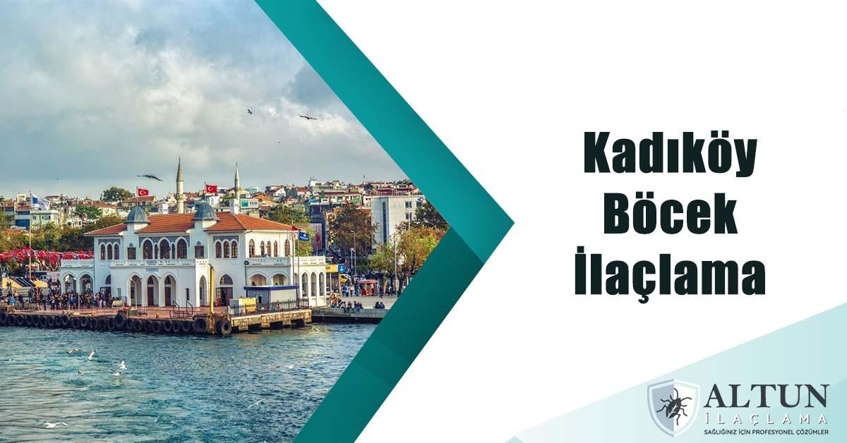 kadıköyböcekilaclama