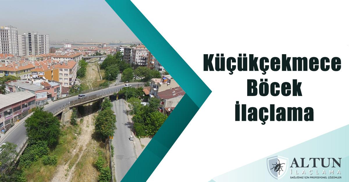 küçükçekemceböcekilaclama