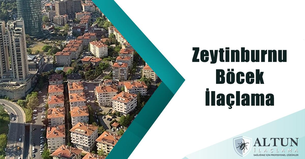 zeytinburnuböcekilaclama